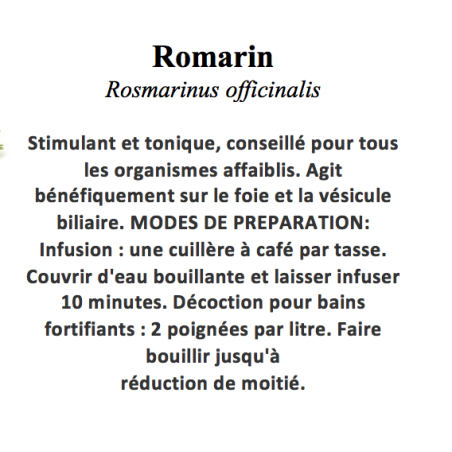 ROMARIN 100GR