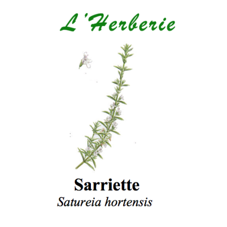 SARRIETTE DES MONTAGNE 100GR