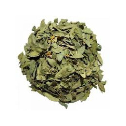 SENEE FE CP 100GR