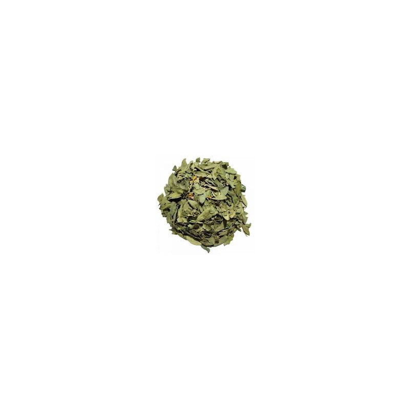 SENEE FE CP 100GR