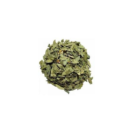SENEE FE CP 100GR
