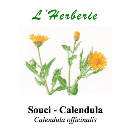 SOUCI CALENDULA PETALE 100GR