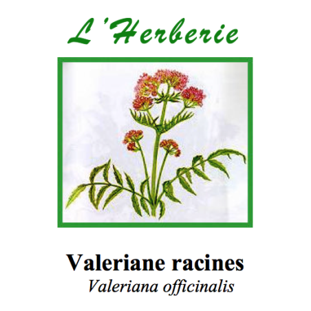 VALERIANE OFFICINAL 100GR