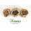 AGRIPAUME SOMMITE COUPE 100GR