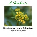 Erysimum velard-Chantres Sisymbrium officinal 100 gr