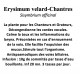 Erysimum velard-Chantres Sisymbrium officinal 100 gr