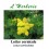 LOTIER CORNICULE COUPE 50 GR Lotus corniculatus