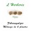 Fibromyalgie mélange de 4 Plantes 100 gr