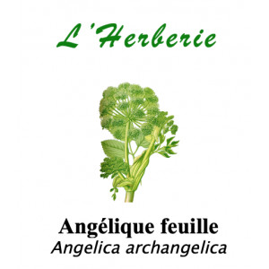 https://www.lherberie.com/5811-thickbox/angelique-feuille-100gr-angelica-archangelica.jpg