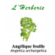 Angélique feuille 100gr Angelica archangelica