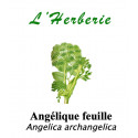 Angélique feuille 100gr Angelica archangelica