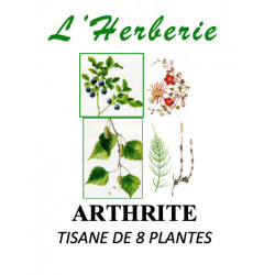 ARTHRITE TISANE DE 8 PLANTES 100gr