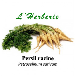 Persil racine  100 gr