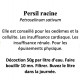 Persil racine  100 gr