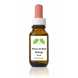Fleur de Bach n° 272 CONSTIPATION