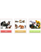 Animaux de compagnie