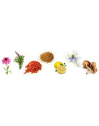 Immunités - Défenses naturelles