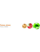 Vitalité - Tonus - Forme