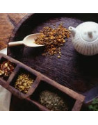 Tisanes - Thés - Infusions