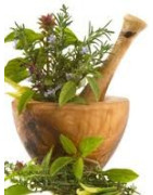 Préparations à base d'huiles essentielles