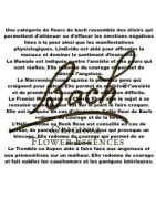 Peurs - Insécurité