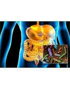 Flore intestinale