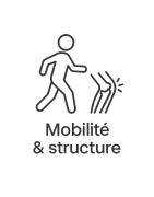 Élixirs floraux – Mobilité & structure | Souplesse & équilibre