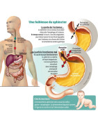 ACIDITE GASTRIQUE ET REFLUX