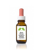 Mélanges C
