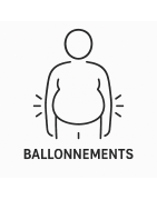 BALLONEMENTS
