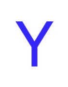 Y