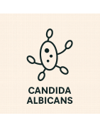 CANDIDA ALBICANS