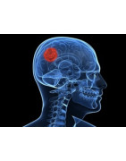 ABCES DU CERVEAU