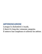 ARTERIOSCLEROSE/ATHEROSCLEROSE