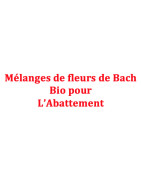 Mélancolie, l'abattement en général
