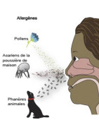 ALLERGIES RESPIRATOIRES & RHUME DES FOINS