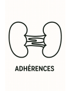 ADHERENCES