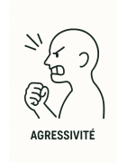 AGRESSIVITE