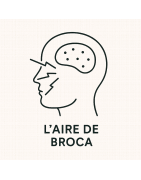BROCA ( l'aire de )