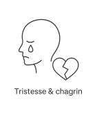 Tristesse & chagrin