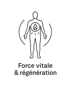 Force vitale & régénération