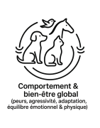 Comportement & bien être global