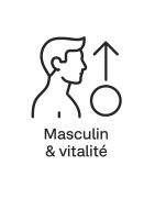 Élixirs floraux – Masculin & vitalité | Force & équilibre intérieur