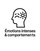 Élixirs floraux – Émotions intenses & comportements | Harmonie intérieure